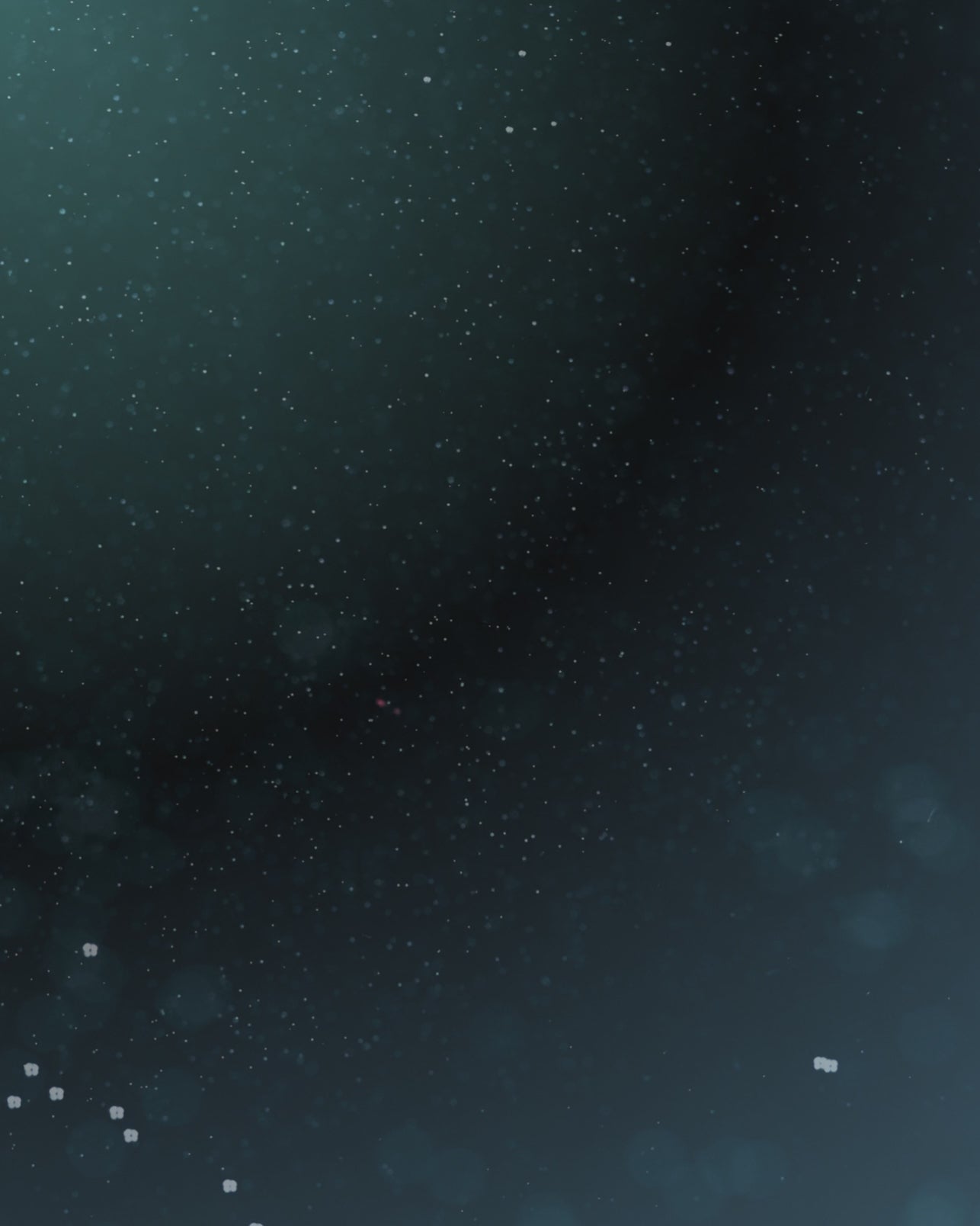 Roma Nights - Eau de Parfum 50ml